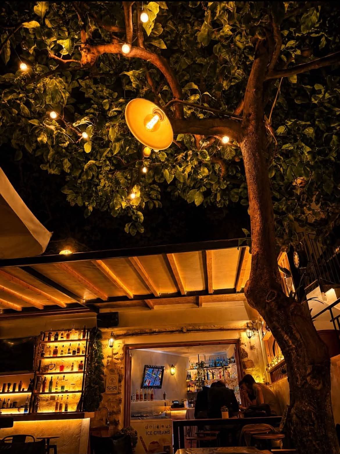 Evening lights